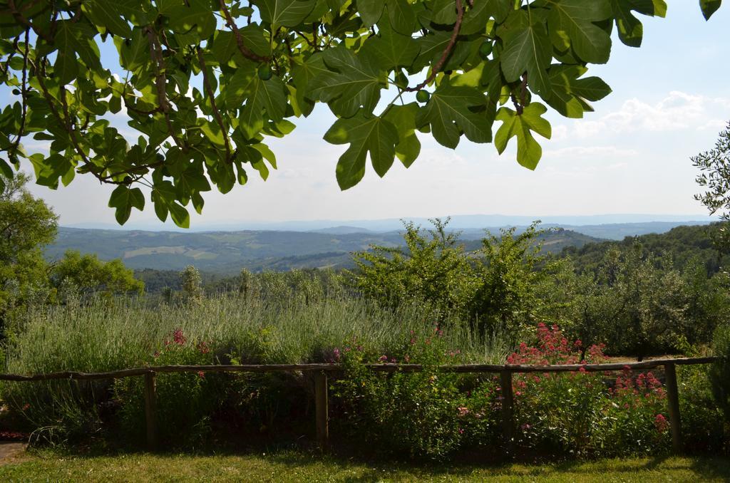 Casa Ercole Farm Stay غريفي ان شنتي المظهر الخارجي الصورة