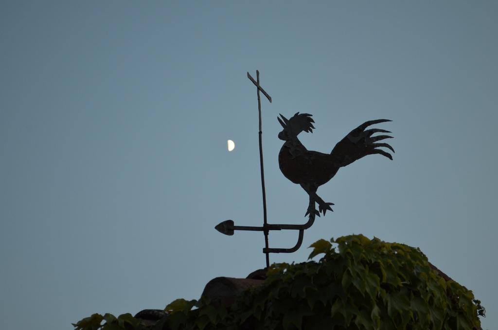 Casa Ercole Farm Stay غريفي ان شنتي المظهر الخارجي الصورة